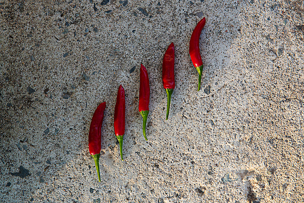 포토 JPG 해외이미지 식물 음식 컬러 백그라운드 채소 재료 자연 고추 탁자 파프리카 건강 요리 사람없음 빨간색 초록색 우주 주방 활발 바위 흰색 시골 신선 뜨거움 양념 조미료 그룹 맛 먹기 향신료 오브젝트 유기농 매움 날것 후추 칠레 흙더미 연소 구성 숙성 줄서기 채식주의자 해외202310 해외포토 웰빙 가구 컨셉 모션 흙 돌_바위 남아메리카 생태계 채식 향미료 파일형식 더미