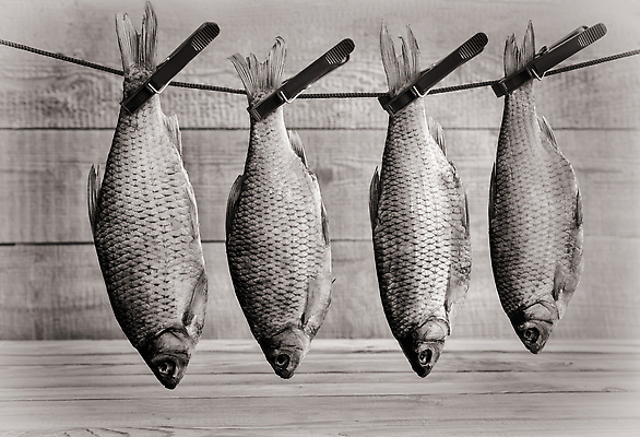 포토 JPG 해외이미지 나무 음식 바다 백그라운드 재료 자연 낚시 추상 건조 매달리기 저울 어류 사람없음 야외 목재 가로 파란색 반려동물 강 우주 공백 잡기 그룹 시장 빨랫줄 해산물 준비 소금 지느러미 철사 고정 빨래집게 내추럴 항공촬영 절임 타파스 많음 카피스페이스 해외202310 해외포토 식물 동물 줄 뷰포인트 컬러 컨셉 무늬 모션 레저 집게 수중동물 애피타이저 생태계 파일형식