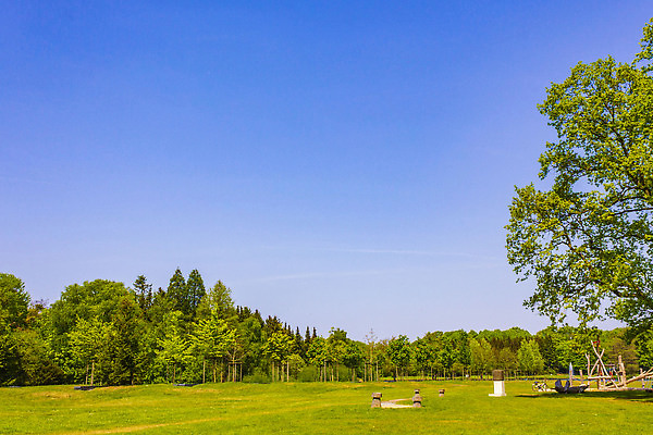 포토 JPG 해외이미지 나무 식물 계절 공원 유럽 길 호수 컬러 여행 백그라운드 잎 자국 자연 독일 파노라마 풍경 사람없음 야외 목재 초록색 여름 빛 강 햇빛 태양 뷰티 환경 침묵 봄 산책 소나무 숲 오솔길 생태계 전나무 내추럴 해외202310 해외포토 자연요소 공공시설 나라 재료 휴식 촬영기법 소리 파일형식