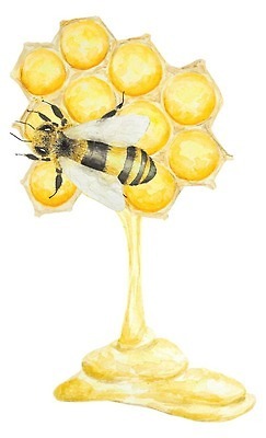 JPG 해외이미지 한마리 일러스트 사람없음 달콤 꿀벌 꿀 흘림 벌집 허니콤 해외202310 해외일러스트 모양 1 모션 맛 벌_곤충 파일형식