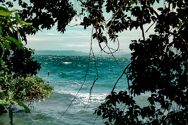 포토 JPG 해외이미지 나무 라이프스타일 실루엣 아시아 파도 바다 섬 여행 백그라운드 하늘 휴가 프레임 풍경 사람없음 야외 여름 파란색 관광지 뷰티 환경 캄보디아 파라다이스 수평선 카피스페이스 해외202310 해외포토 식물 계절 나라 컬러 촬영기법 생활 공백 파일형식