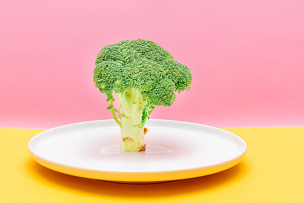 포토 JPG 해외이미지 식물 음식 조각 다이어트 채소 재료 건강 사람없음 샐러드 신선 브로콜리 날씬함 유기농 양배추 날것 비타민 건강식 내추럴 생식 채식주의자 디톡스 비건 비건음식 해외202310 해외포토 웰빙 몸매 채식 영양소 파일형식