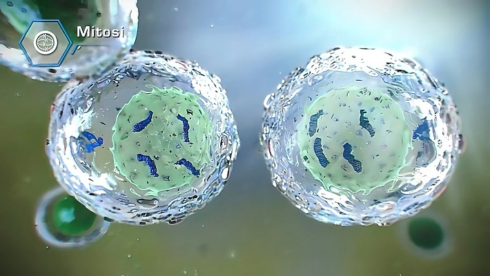 포토 JPG 해외이미지 과학 세포 현미경 사람 사람없음 디지털 실험실 DNA 생명공학 생물학 미생물 방법 복제 분할 유전 셀룰러 해외202310 해외포토 교육 의학 생물 실험기구 실험 파일형식