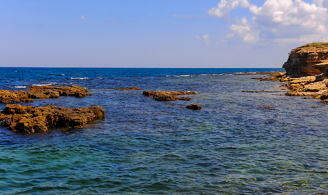 포토 JPG 해외이미지 야생동물 모래 파도 바다 자연 조류 하늘 풍경 해변 사람없음 물 절벽 바위 물가 서핑 망토 부식 웅덩이 점토 블러 지질학 무너짐 해외202310 해외포토 자연요소 동물 교육 모션 돌_바위 수상스포츠 생태계 파일형식