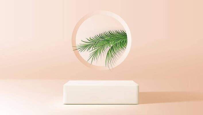 EPS 해외이미지 백그라운드 잎 일러스트 창문 추상 바닥 실내 그림자 서기 초록색 빛 세트 3D 우주 방 무대 흰색 원형 발표 빈 막대기 상품 받침대 큐브 오브젝트 진열장 쇼 장면 기하학 단상 내추럴 고립 광 실린더 지휘대 파스텔톤 목업 현실 미니멀 해외202310 해외일러스트 도형 식물 컬러 무늬 모션 내부 디지털합성 파스텔 파일형식 벡터 학용품 문구용품