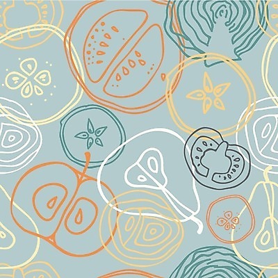 EPS 해외이미지 무료이미지 채소 과일 라인일러스트 일러스트 사람없음 슬라이스 해외202310 해외일러스트 파일형식 벡터