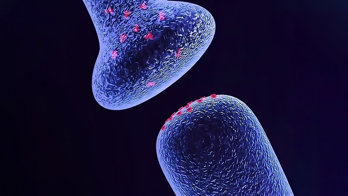포토 JPG 해외이미지 과학 백그라운드 컨셉 일러스트 해부 추상 세포 건강 사람 사람없음 그래픽 파란색 빛 약 머리 3D 우주 에너지 마음 네트워크 불안 뇌 생물학 신호 만들기 시스템 바이오 지능 해외202310 해외포토 교육 감정 컬러 무늬 의학 모션 신체부위 디지털합성 파일형식