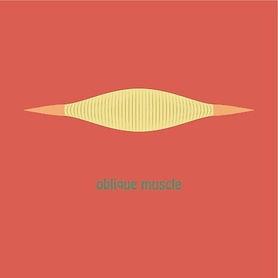 EPS 해외이미지 신체 일러스트 해부 근육 뼈 건강 사람 야외 약 플랫 흉부 가슴 보디빌딩 유연 체육관 생물학 근육질 시스템 궤 복근 해외202310 해외일러스트 교육 의학 신체부위 헬스 호흡기관 몸매 파일형식 벡터