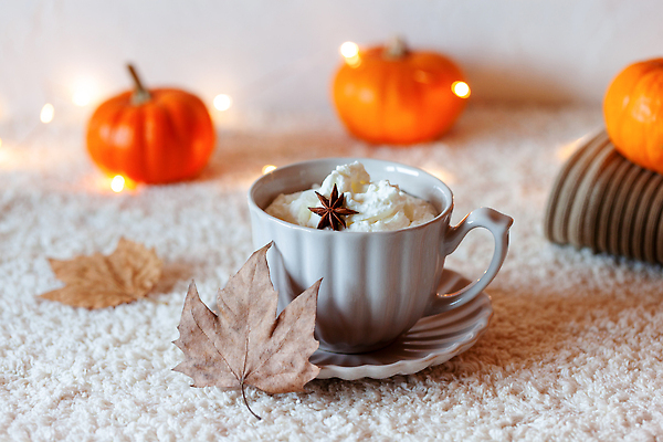 포토 JPG 해외이미지 접시 계절 커피 음료 컬러 잎 오렌지 탁자 호박 건조 따뜻함 사람없음 내부 옆모습 컵 컬러풀 갈색 유행 주방 초콜릿 화환 흰색 직물 뜨거움 선택 떨어짐 편안함 9월 11월 크림 향신료 부드러움 잭 10월 구성 미니 카카오 강조 해외202310 해외포토 식물 식기 꽃 뷰포인트 가구 컨셉 채소 과일 디저트 감각 날짜 향미료 파일형식