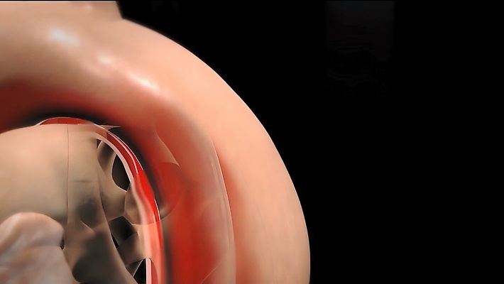 포토 JPG 해외이미지 과학 신체 해부 건강 사람 사람없음 3D 기계 의사 심장 오르간 맥박 만화 생물학 함선 활기 동맥 정맥 심장병 해외202310 해외포토 교육 컨셉 배_교통 의학 의료진 장기_의학 건반악기 질병 디지털합성 혈관 파일형식