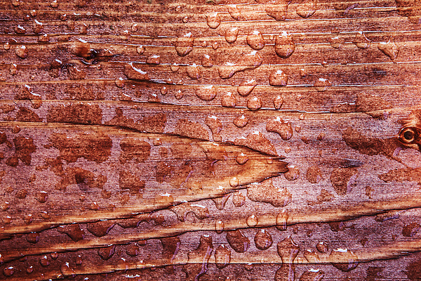 포토 JPG 해외이미지 나무 컬러 백그라운드 패턴 요트 자연 표면 추상 새로움 바닥 사람없음 야외 목재 물 빛 반사 갈색 페인트 거품 장비 젖음 물방울 얼룩 투명 액체 보호 널 갑판 빗방울 질감 내추럴 방수 수목 해외202310 해외포토 자연요소 식물 컨셉 무늬 배_교통 재료 비_날씨 생태계 파일형식