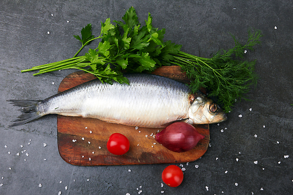 포토 JPG 해외이미지 동물 야생동물 바다 조각 백그라운드 자연 양파 낚시 파슬리 육류 어류 요리 사람없음 초록색 주방 수중 젖음 신선 은색 정상 지중해 먹기 허브 해산물 준비 꼬리 날것 슬라이스 소금 고립 딜 절임 정육점 짠맛 청어 해외202310 해외포토 식물 음식 컬러 채소 식재료 모션 레저 상점 수중동물 맛 생태계 파일형식