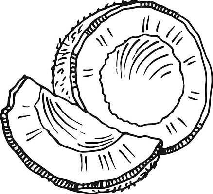 EPS 해외이미지 손 음료 선 음식 조각 과일 일러스트 디저트 건강 손바닥 여름 검은색 주스 화장품 견과류 수확 흰색 신선 플랫 달콤 스케치 자르기 먹기 심볼 메뉴 그림 유기농 코코넛 판화 비타민 내추럴 고립 숙성 이국적 채식주의자 해외202310 해외일러스트 웰빙 계절 컬러 농업 모션 미술 신체부위 뷰티 맛 채식 영양소 파일형식 벡터