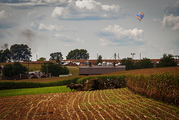 포토 JPG 해외이미지 식물 전통 종교 밭 농업 자연 하늘 사람없음 야외 농장 농경지 갈색 흙 수확 시골 업무 당기기 볏짚 농부 땅 밀짚모자 구식 밭일 윤리 쟁기 해외202310 해외포토 직업 모자_잡화 산업 컬러 모션 작업 짚 생태계 파일형식