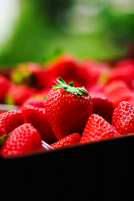 포토 JPG 해외이미지 과일 딸기 사람없음 무더기 해외202310 해외포토 파일형식