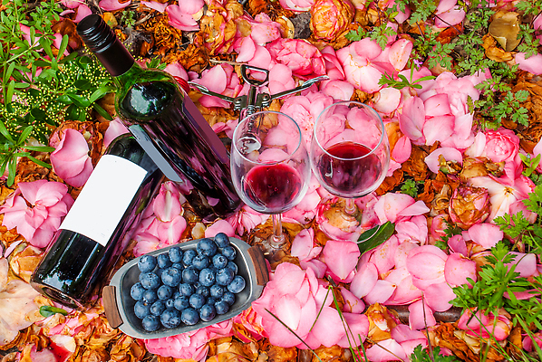 포토 JPG 해외이미지 안경 백그라운드 사랑 사람없음 뷰티 장미 와인 정원 낭만 블루베리 해외202310 해외포토 잡화 꽃 감정 컨셉 과일 주류 파일형식