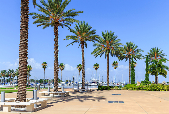 포토 JPG 해외이미지 바다 요트 건축양식 손바닥 사람없음 물 도시풍경 항구 미국 도시 만 보트 도심 타운 스카이라인 플로리다 해외202310 해외포토 자연요소 손 건축 북아메리카 배_교통 교통시설 풍경 파일형식