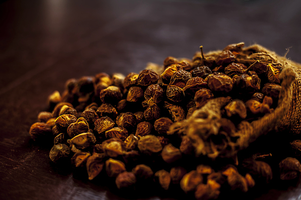 포토 JPG 해외이미지 나무 열매 컬러 백그라운드 재료 씨앗 사람없음 뷰티 스파 중국 거품 견과류 원형 빨래 기름 허브 세제 관목 유기농 생물학 비누 샴푸 청소부 내추럴 중고 해외202310 해외포토 도형 식물 직업 웰빙 교육 아시아 음식 가사 위생용품 파일형식