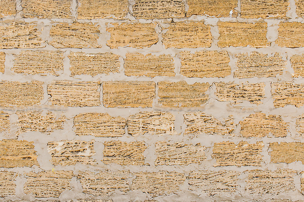 포토 JPG 해외이미지 디자인 외관 산업 모래 벽 바다 백그라운드 패턴 건축양식 자연 벽지 표면 추상 조개 벽돌 사람없음 건물 갈색 노란색 블록 수확 껍질 거친 묘사 생태계 질감 시멘트 화석 점토 사암 내추럴 고체 그런지 석회암 옛날 콘크리트 해외202310 해외포토 건축물 건축 컬러 무늬 농업 어패류 암석 돌_바위 파일형식