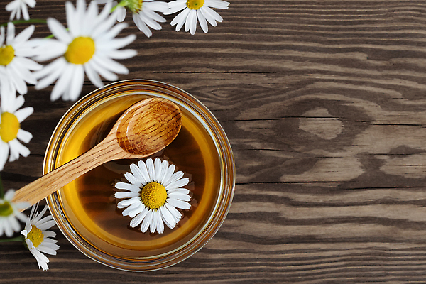 포토 JPG 해외이미지 식물 라이프스타일 꽃 음식 백그라운드 자연 유리 탁자 디저트 건강 사람없음 목재 여름 뷰티 약 노란색 숟가락 벚꽃 흰색 시골 사발 황금 달콤 맛 상품 허브 유기농 시럽 향 꿀 내추럴 캐모마일 카피스페이스 디톡스 맛있는 해외202310 해외포토 나무 웰빙 계절 컬러 가구 컨셉 재료 의학 재질 수저 생활 공백 사기그릇 생태계 파일형식