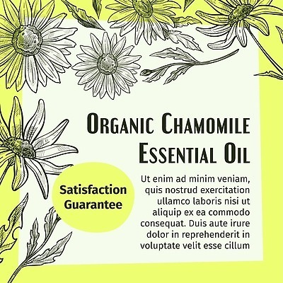 EPS 해외이미지 식물 꽃 일러스트 자연 휴식 건강 치료 뷰티 약 스파 화목 화장품 신선 마사지 플랫 약초 기름 상품 만화 허브 피부 향수 피부관리 유기농 향기 아로마 향 아로마테라피 테라피 내추럴 고립 돌봄 에센스 위생관리 추출 캐모마일 벡터 해외202310 해외일러스트 웰빙 음식 컨셉 의학 모션 관리 신체부위 풀_식물 생태계 냄새 파일형식