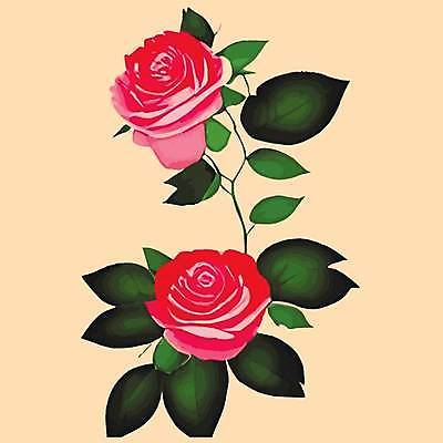 EPS 해외이미지 무료이미지 꽃 일러스트 사람없음 장미 해외202310 해외일러스트 식물 파일형식 벡터