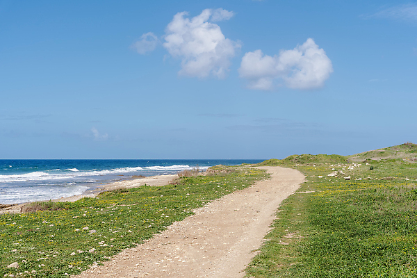 포토 JPG 해외이미지 구름 모래 파도 바다 여행 백그라운드 자연 조류 하늘 휴가 잉글랜드 풍경 사람없음 야외 물 여름 파란색 태양 일몰 서핑 썰물 수평선 해외202310 해외포토 자연요소 동물 계절 컬러 영국 노을 수상스포츠 생태계 파일형식