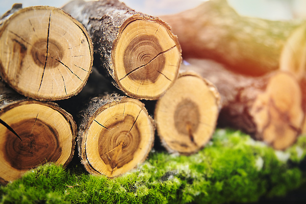 포토 JPG 해외이미지 사람없음 목재 갈색 쌓기 시골 장작 자르기 통나무 잡동사니 내추럴 수목 개조 해외202310 해외포토 나무 컬러 재료 모션 파일형식