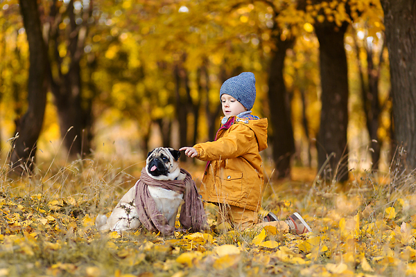 포토 JPG 해외이미지 나무 동물 백인 라이프스타일 공원 남자 행복 감정 어린이 잎 2 장난 자연 놀이 함께함 한명 미소 앉기 소년 야외 반려동물 노란색 맑음 우정 산책 기쁨 가을 개 강아지 숲 작음 걸음마 해외202310 해외포토 서양인 식물 1 계절 공공시설 컬러 컨셉 포유류 모션 날씨 휴식 표정 사람 생활 친구 크기 생태계 파일형식