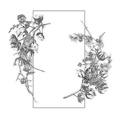 EPS 해외이미지 크리스마스 겨울 일러스트 프레임 사람없음 흰색 나뭇가지 목화꽃 해외202310 해외일러스트 나무 계절 기념일 꽃 컬러 파일형식 벡터