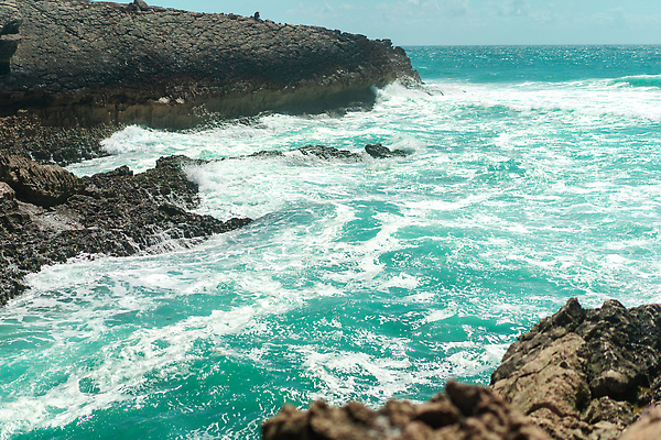 포토 JPG 해외이미지 파도 바다 자연 조류 바람 날씨 풍경 사람없음 야외 물 환경 거친 떨어짐 스프레이 폭풍 대서양 격파 힘찬 스플래쉬 해외202310 해외포토 자연요소 동물 컨셉 모션 생태계 파일형식