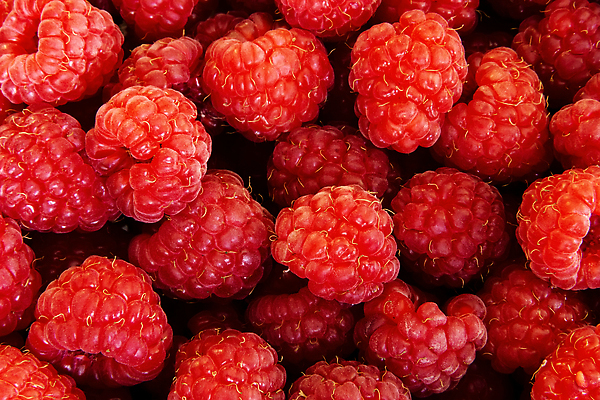 포토 JPG 해외이미지 식물 계절 열매 음식 분홍색 백그라운드 잎 다이어트 과일 재료 자연 디저트 건강 3 사람없음 빨간색 여름 컬러풀 수확 흰색 신선 그룹 달콤 맛 오브젝트 유기농 질감 날것 산딸기 비타민 내추럴 고립 숙성 채식주의자 많음 비건 맛있는 해외202310 해외포토 웰빙 컬러 컨셉 농업 생태계 채식 영양소 파일형식