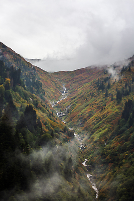 포토 JPG 해외이미지 나무 공원 여행 잎 자연 휴가 산 사람없음 야외 초록색 물 관광지 강 환경 계곡 폭포 안개 개울 떨어짐 숲 신비 열대우림 자연백그라운드 장노출 칠면조 내추럴 뿌연 삼림지대 해외202310 해외포토 자연요소 식물 공공시설 컬러 백그라운드 컨셉 조류 날씨 촬영기법 생태계 파일형식