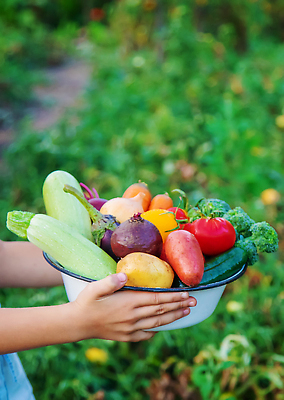 포토 JPG 해외이미지 모자 손 계절 남자 딸 어린이 음식 백그라운드 농업 다이어트 토마토 채소 자연 가지 양파 오이 감자 건강 관리 사람 사람없음 빨간색 초록색 여름 농장 바구니 정원 봄 당근 수확 성장 가을 시골 신선 농부 유기농 양배추 후추 내추럴 원예사 채식주의자 카피스페이스 해외202310 해외포토 직업 웰빙 잡화 산업 컬러 가족 뿌리채소 신체부위 공백 향신료 생태계 채식 파일형식