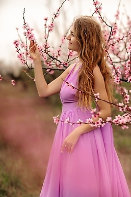 포토 JPG 해외이미지 드레스 여자 분홍색 한명 상반신 성인 야외 옆모습 뷰티 봄 잡기 벚나무 성인여자한명만 해외202310 해외포토 나무 1 옷 계절 뷰포인트 컬러 모션 사람 벚꽃 여자한명만 성인여자만 파일형식