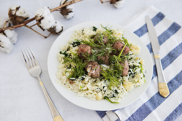 포토 JPG 해외이미지 모양 전통 접시 음식 부분 공 밥 파슬리 스웨덴 육류 돼지고기 요리 사람없음 빨간색 초록색 갈색 식사 저녁식사 소고기 튀김 신선 닫기 맛 아침식사 미트볼 먹기 허브 준비 서빙 레시피 북쪽 시금치 내추럴 점심식사 딜 스칸디나비아 핸드메이드 맛있는 해외202310 해외포토 식물 식기 컬러 컨셉 채소 식재료 모션 북유럽 방향 파일형식