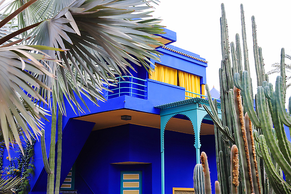 포토 JPG 해외이미지 나무 식물 디자인 컬러 여행 건축양식 아프리카 자연 선인장 주택 손바닥 사람없음 장식 초록색 파란색 컬러풀 정원 우아함 성자 모로코 아랍어 해외202310 해외포토 손 건축 나라 종교 컨셉 건물 생태계 파일형식