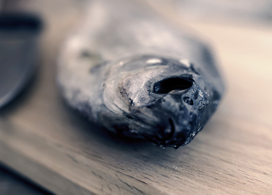 포토 JPG 해외이미지 나무 전통 음식 백그라운드 탁자 건조 도마 맥주 실내 어류 사람없음 목재 가로 갈색 주방 수확 시골 신선 닫기 큼 해산물 소금 내추럴 절임 탈수 카피스페이스 맛있는 해외202310 해외포토 식물 컬러 가구 농업 재료 모션 주방용품 주류 내부 수중동물 공백 크기 파일형식