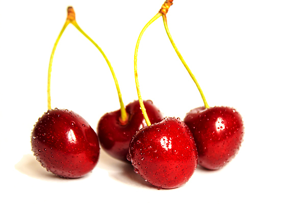 포토 JPG 해외이미지 줄기 사람없음 빨간색 물방울 신선 체리 달콤 해외202310 해외포토 식물 컬러 과일 맛 파일형식