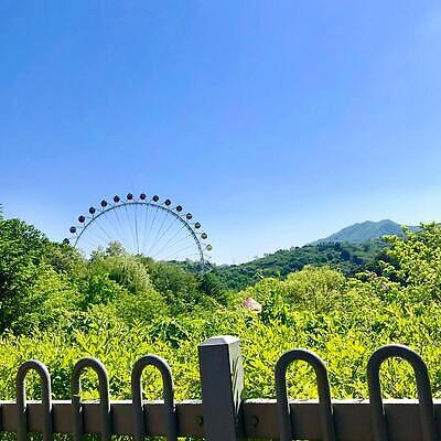 포토 JPG 해외이미지 주간 나무 식물 건축양식 자연 하늘 풍경 사람없음 초록색 여름 햇빛 랜드마크 해외202310 해외포토 자연요소 계절 건축 컬러 태양 생태계 파일형식