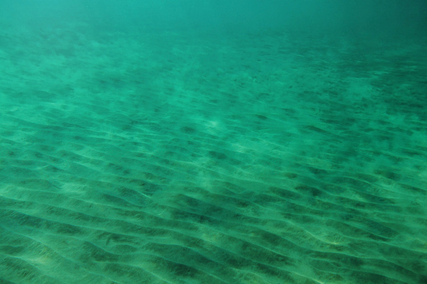 포토 JPG 해외이미지 물결 모래 파도 바다 하늘색 백그라운드 패턴 자연 표면 추상 바닥 사람없음 물 파란색 빛 모래사장 햇빛 태양 반사 우주 바닷속 수중 침묵 만 투명 아래 질감 장면 내추럴 소금물 터키석 해외202310 해외포토 자연요소 컬러 무늬 소리 보석 방향 생태계 위치 파일형식