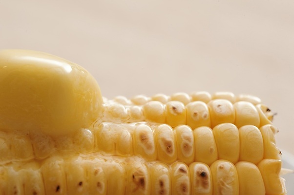 포토 JPG 해외이미지 음식 채소 옥수수 사람없음 녹음 뜨거움 그릴 낟알 시리얼 알맹이 버터 카피스페이스 해외202310 해외포토 주방용품 곡류 공백 기록 파일형식