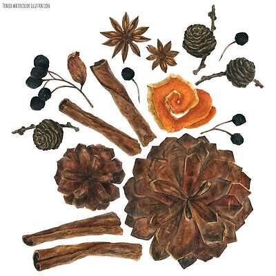 EPS 해외이미지 식물 템플릿 꽃다발 크리스마스 겨울 꽃무늬 패턴 오렌지 과일 일러스트 자연 벽지 휴가 새해 건조 목재 장식 갈색 파티 페인트 껍질 나뭇가지 소나무 뜨거움 신용카드 맛 아로마 원뿔 현실 국경 해외202310 해외일러스트 도형 나무 계절 기념일 꽃 컬러 컨셉 무늬 재료 이벤트 금융 생태계 파일형식 벡터