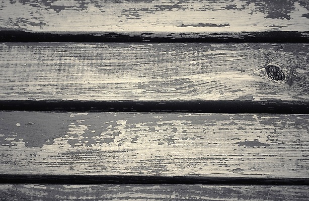 포토 JPG 해외이미지 디자인 벽 백그라운드 패턴 일러스트 표면 날씨 추상 바닥 흑백 사람없음 목재 울타리 검은색 어둠 고통 회색 수확 흰색 시골 판넬 얼룩 거친 널 낟알 천 책상 고민 질감 복고 내추럴 그런지 수목 옛날 벡터 파케트 효과 해외202310 해외일러스트 나무 감정 컬러 가구 무늬 농업 재료 촬영기법 담장 직물 파일형식