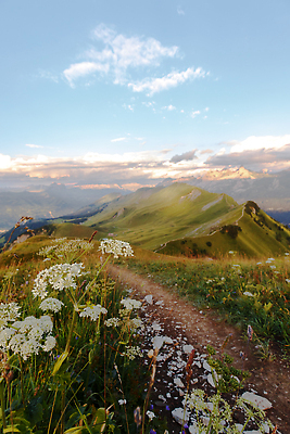 포토 JPG 해외이미지 구름 계절 유럽 여행 휴가 산 파노라마 풍경 사람없음 야외 여름 맑음 하이킹 가을 스위스 언덕 알프스 절정 해외202310 해외포토 자연요소 나라 레저 날씨 촬영기법 파일형식