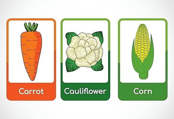 EPS 해외이미지 무료이미지 채소 일러스트 옥수수 사람없음 초록색 단어 주황색 당근 컬리플라워 해외202310 해외일러스트 문자 컬러 곡류 뿌리채소 브로콜리 파일형식 벡터 무료콘텐츠