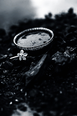 포토 JPG 해외이미지 식물 디자인 얼굴 백그라운드 건강 가면 사람없음 목재 치료 컵 뷰티 약 검은색 어둠 화장품 장비 흰색 플랫 씻기 가루 질감 스킨케어 숯 미백 석탄 재 흑연 디톡스 탄소 해외202310 해외포토 나무 식기 컬러 재료 의학 신체부위 청결 광석 파일형식