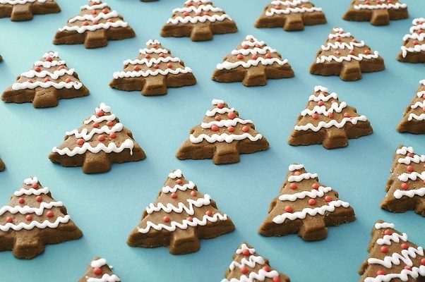 포토 JPG 해외이미지 모양 나무 계절 음식 백그라운드 크리스마스 휴가 사람없음 장식 쿠키 축제 맛 해외202310 해외포토 식물 기념일 컨셉 디저트 파일형식