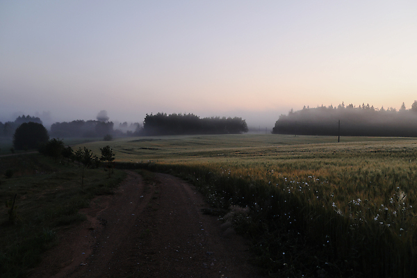 포토 JPG 해외이미지 라이프스타일 계절 공원 유럽 여행 백그라운드 잎 밭 골프 자연 하늘 날씨 휴가 파노라마 사람없음 야외 뷰티 농장 농경지 평화 환경 맑음 일몰 산책 시골 장면 내추럴 밭일 생태학 수평선 해외202310 해외포토 식물 공공시설 교육 나라 컨셉 농업 휴식 촬영기법 생활 구기 노을 생태계 파일형식