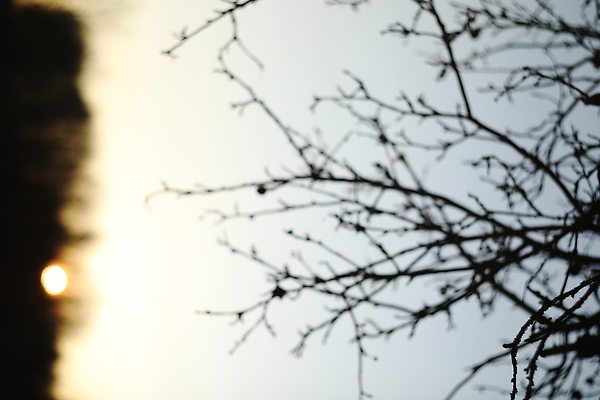 포토 JPG 해외이미지 구름 계절 여행 백그라운드 패턴 창문 자연 벽지 하늘 아침 바람 날씨 추상 파노라마 풍경 사람없음 야외 파란색 햇빛 태양 뷰티 평화 우주 일출 환경 맑음 침묵 황혼 일몰 새벽 자유 전원 분위기 야간 저녁 장면 천국 내추럴 웅장함 수평선 해외202310 해외포토 주간 자연요소 컬러 컨셉 무늬 촬영기법 노을 소리 전기에너지 생태계 파일형식